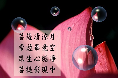 菩提心影