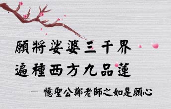 願將娑婆三千界 遍種西方九品蓮